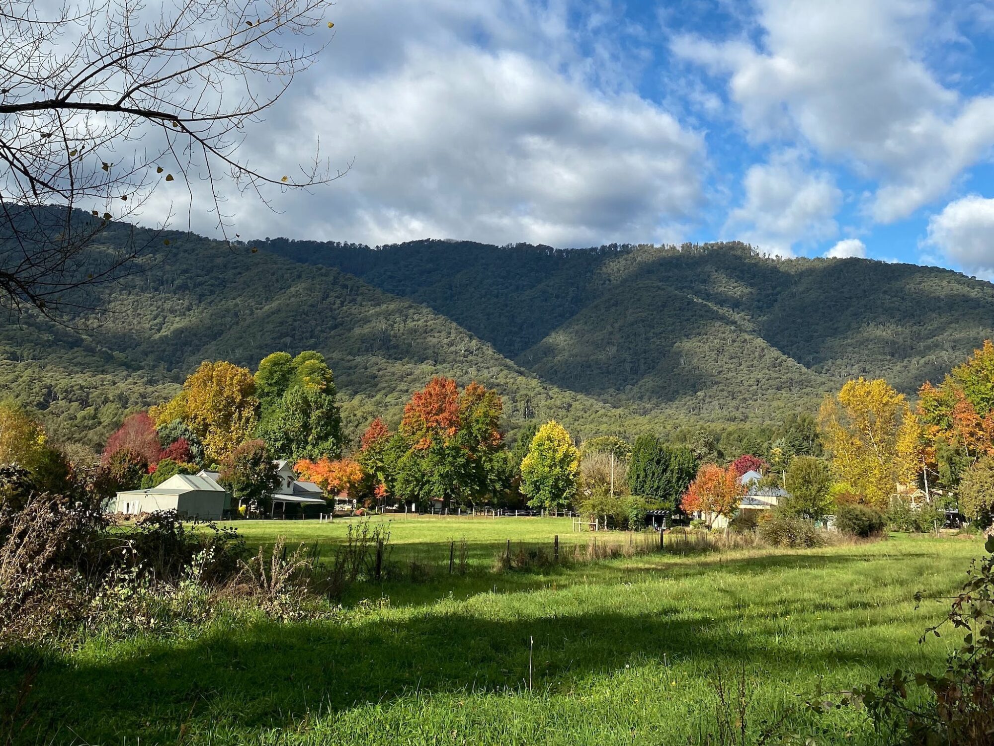 Harrietville Caravan Park