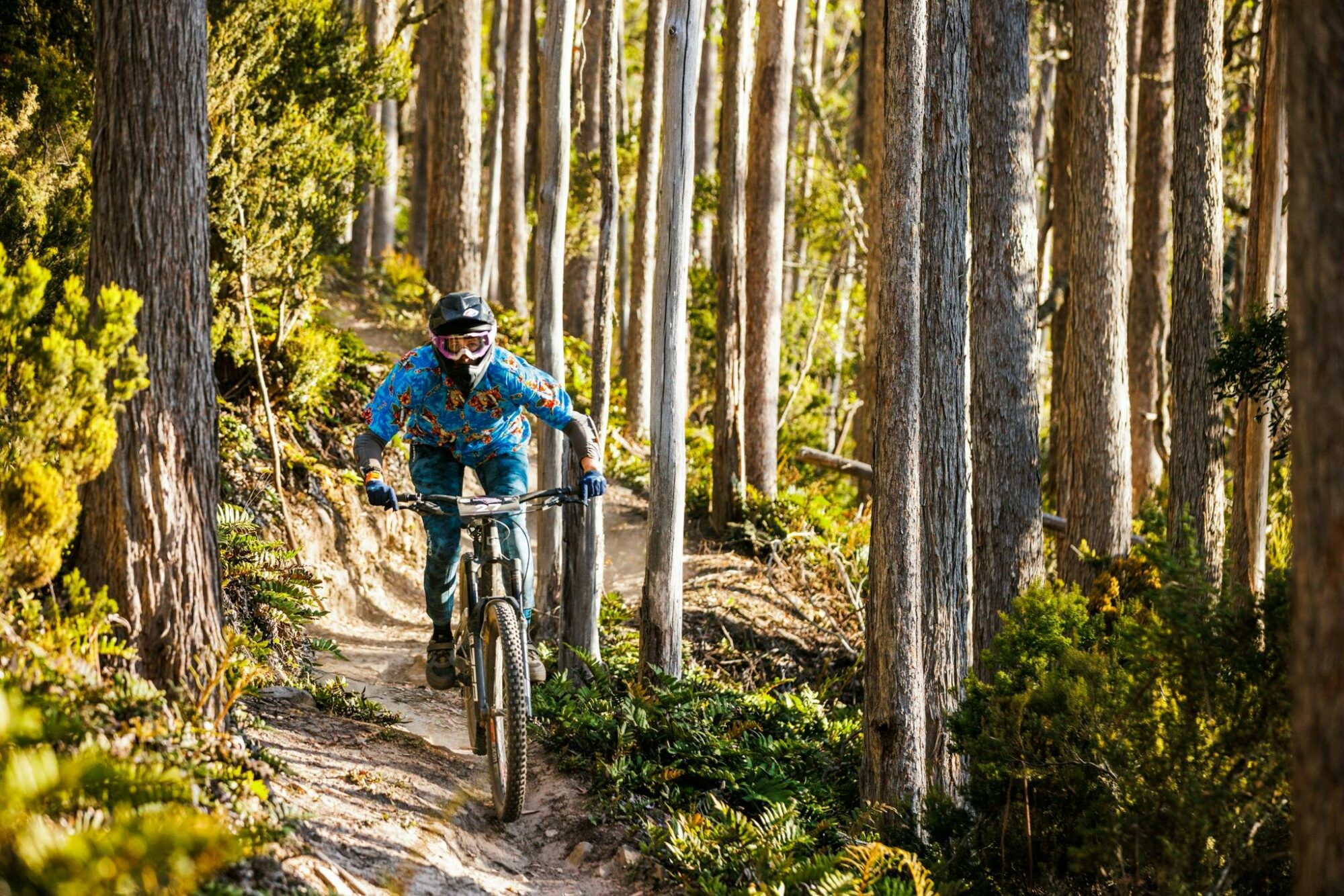 Trail Wake