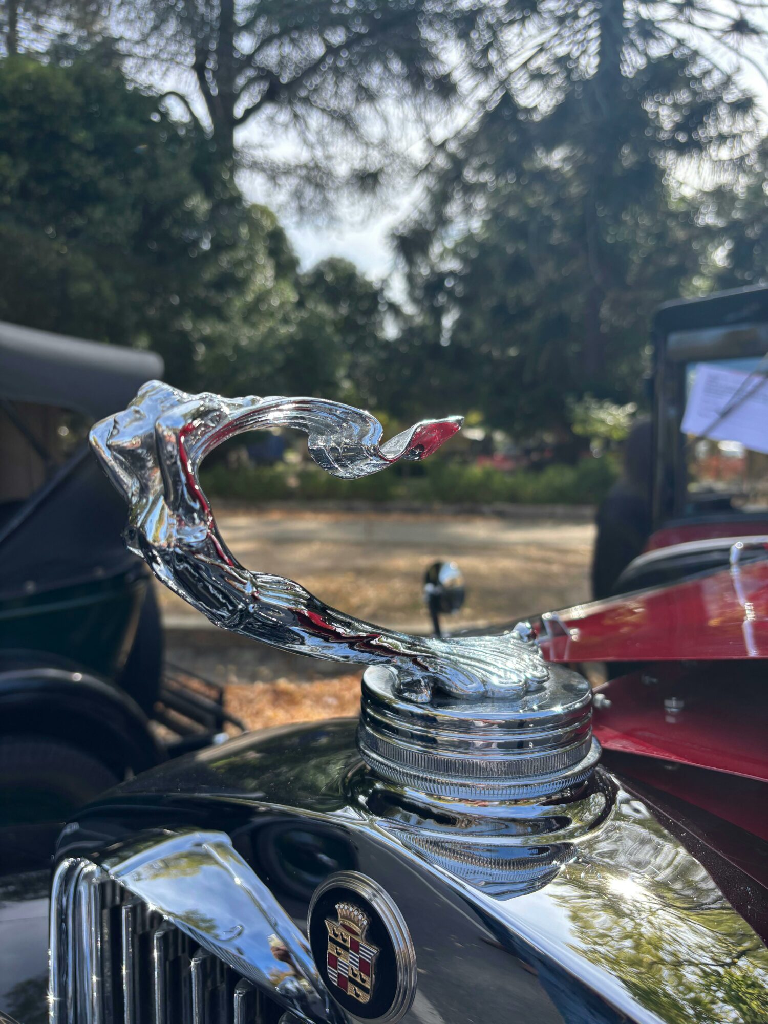 Bright Rod Run