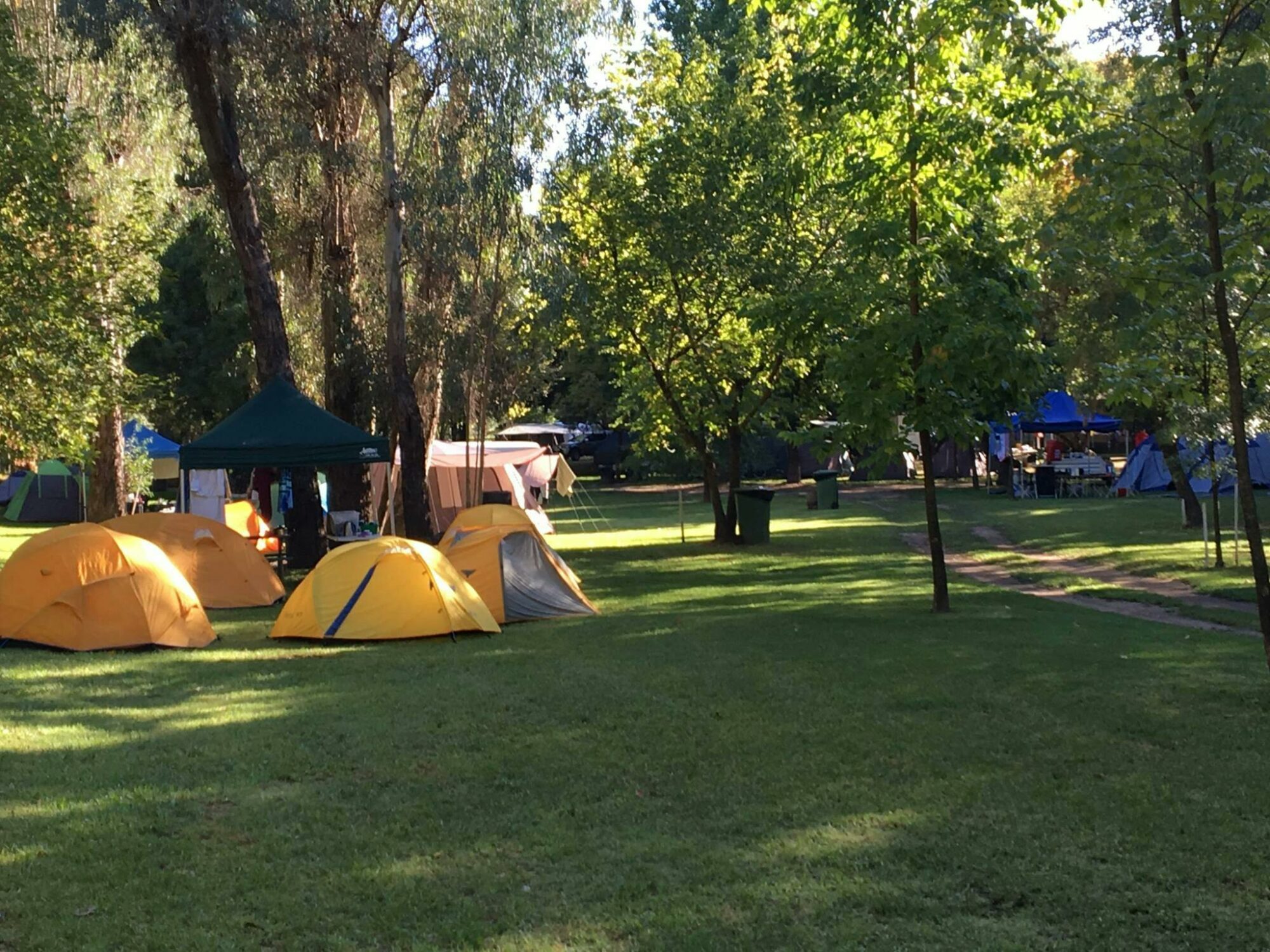 Ardern's Caravan Park Myrtleford