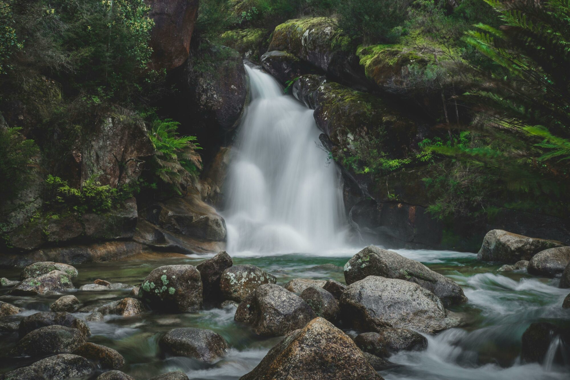 Experience Mt Buffalo - nature walks, waterfalls and scenic views