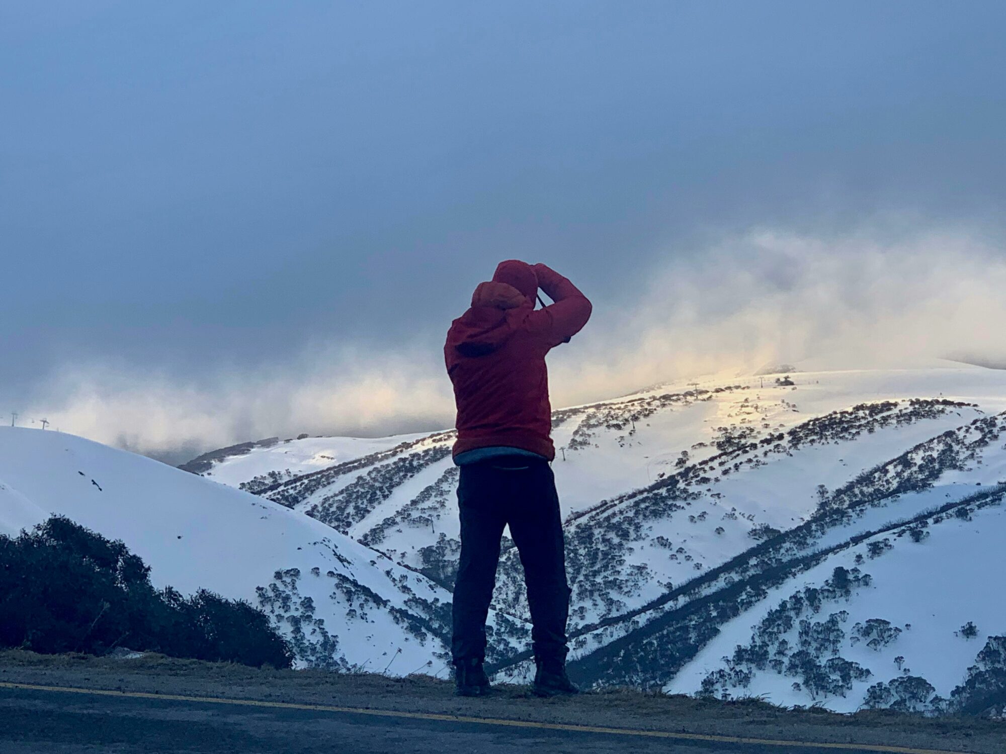 Winter In The Alpine