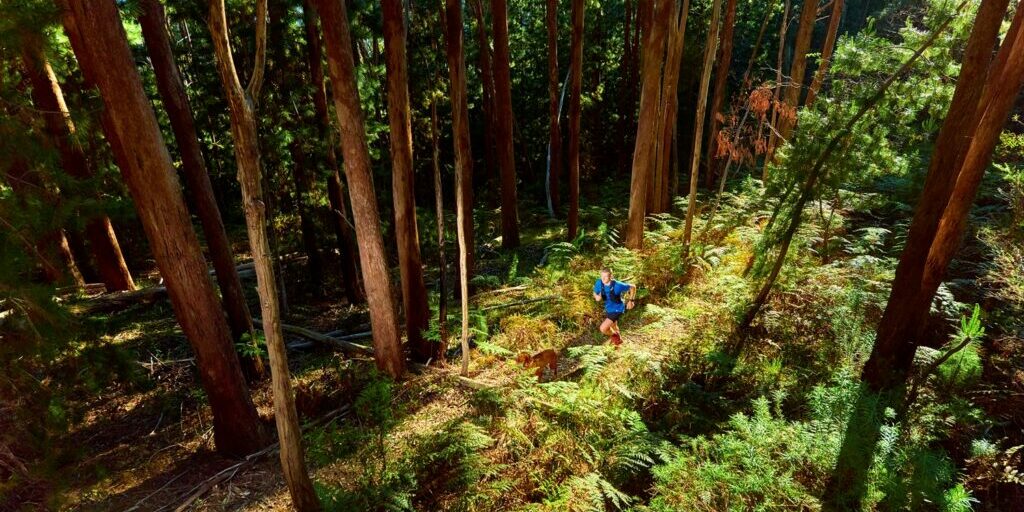 Trail Running at Mystic