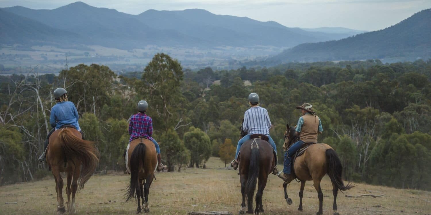 horse riding view mount beauty summer autumn 16_9