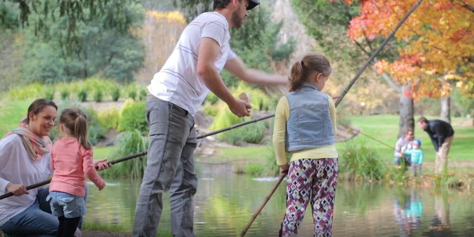 trout farm harrietville autumn 16_9