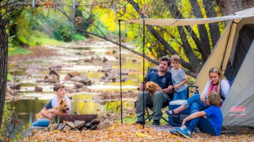 Camping in Bright during Autumn