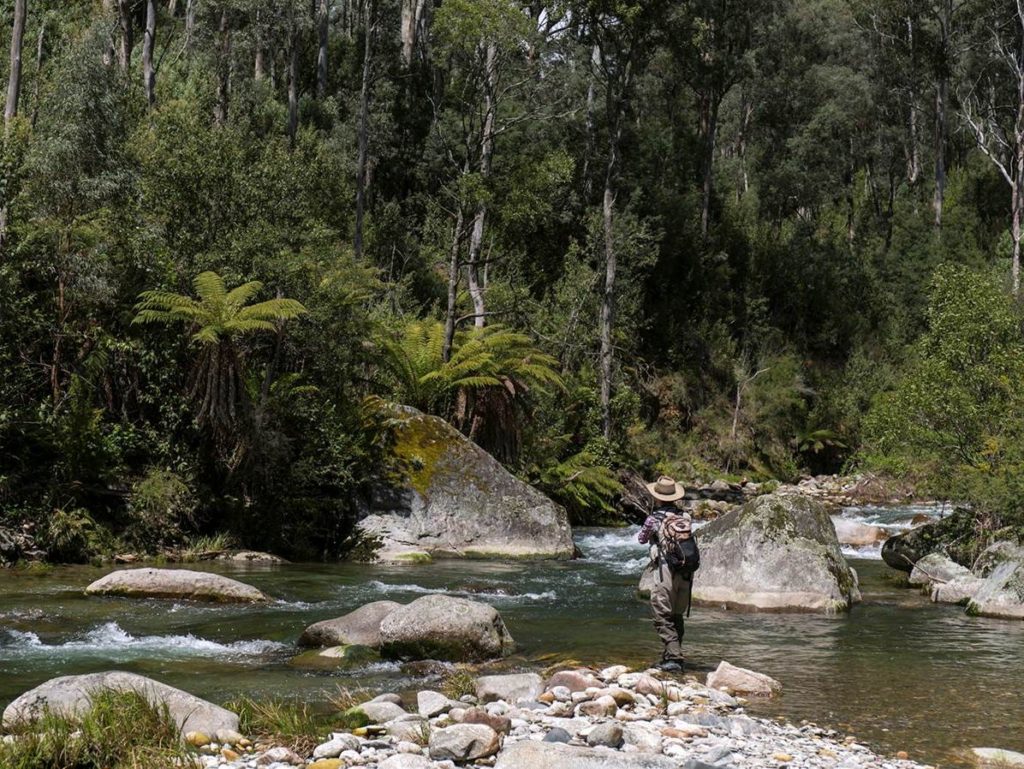 fly fishing kiewa valley summer 4_3