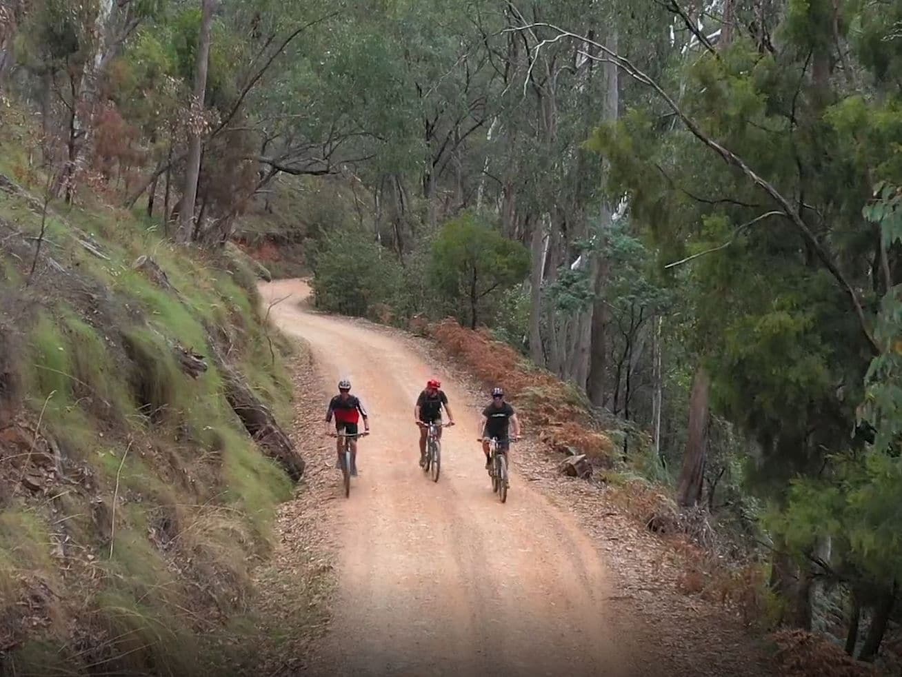 Gravel riding up Mount Porepunkah