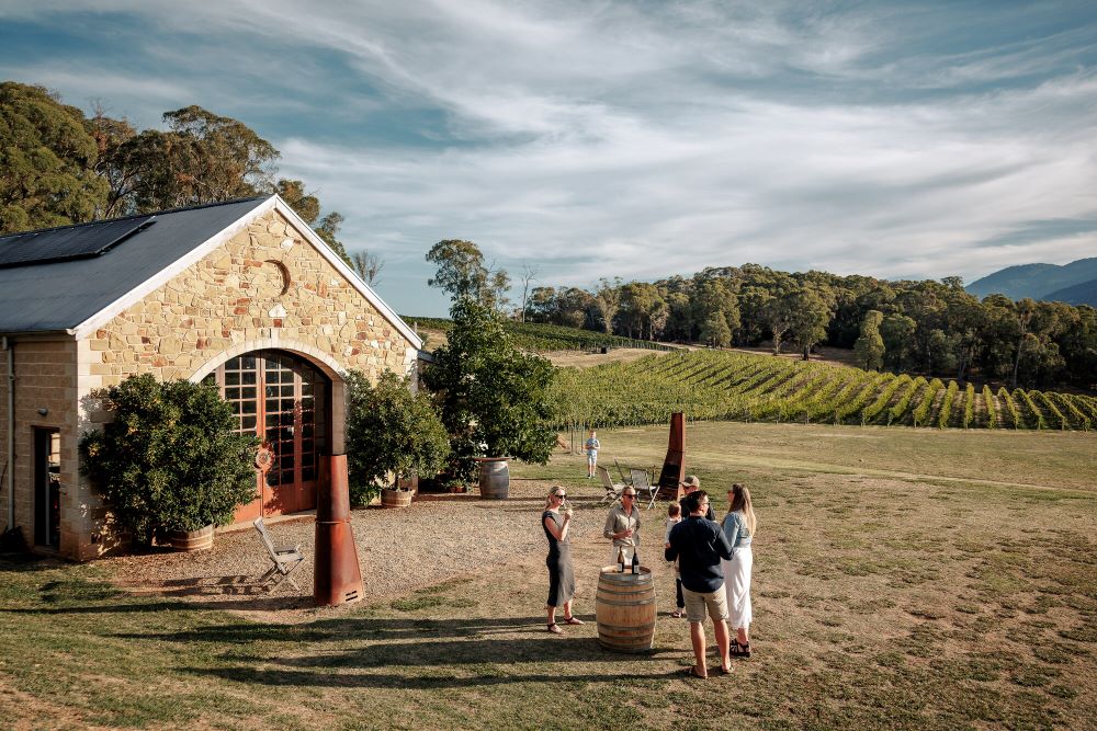 Enjoying wine at Mayford wines