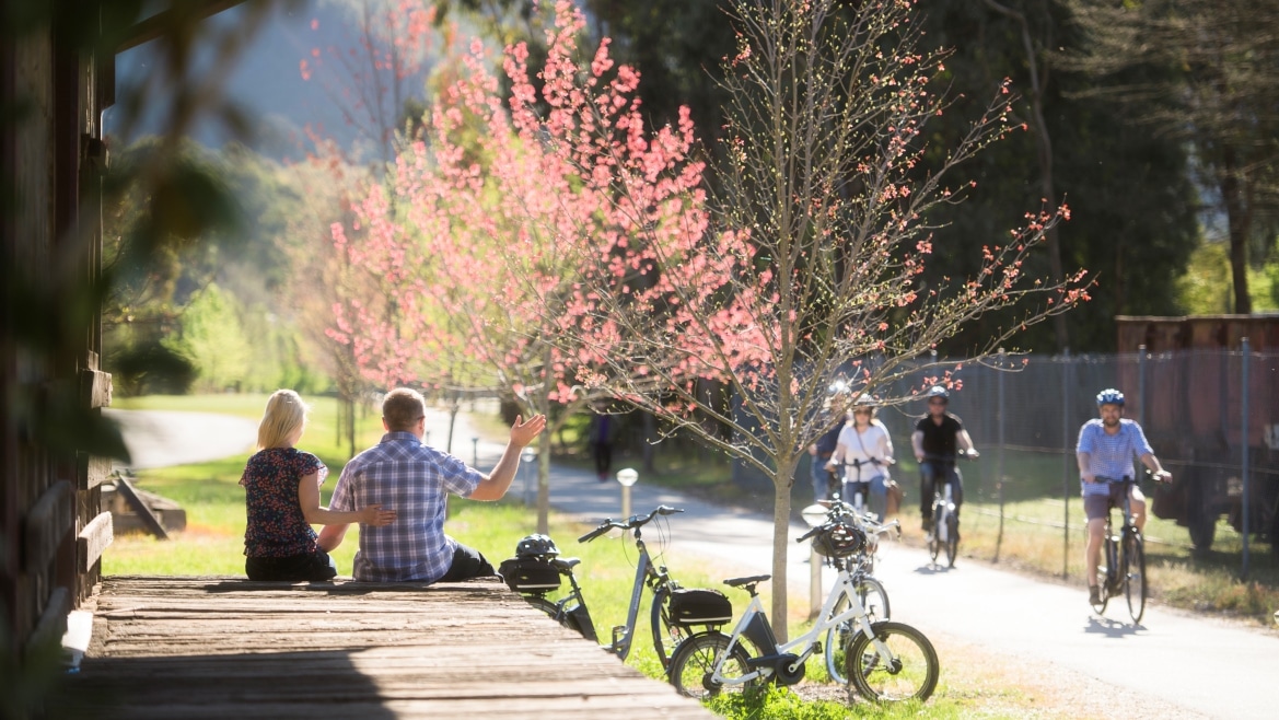 Ride the Murray to Mountains Rail Trail through Bright, Victoria