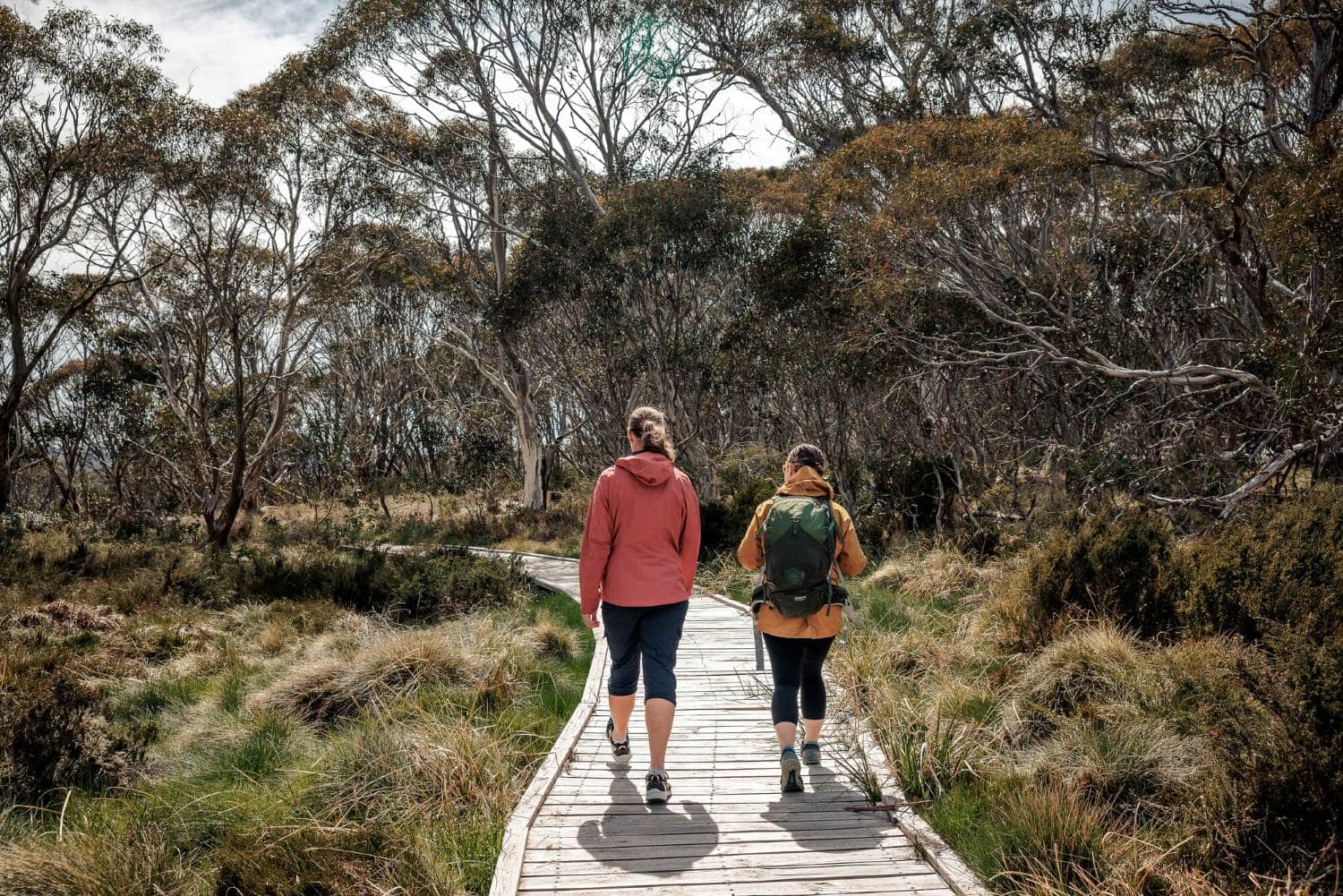 Bush Walking in Dinner Plain